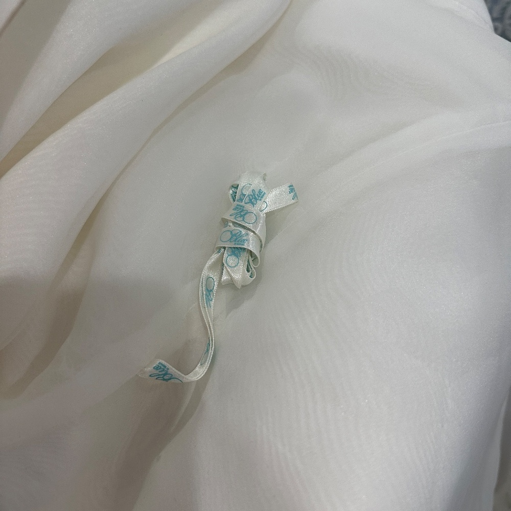 Wedding Dress by ENZOANI - Picture 7 of 16